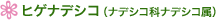 �q�Q�i�f�V�R�i�i�f�V�R�ȃi�f�V�R���j