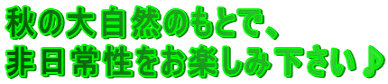�H�̑厩�R�̂��ƂŁA ����퐫�����y���݉������� 
