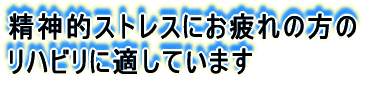 B 精神的リハビリ