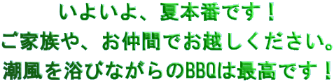 ���悢��A�Ė{�Ԃł��I  ���Ƒ���A�����Ԃł��z�����������B  �����𗁂тȂ����BBQ�͍ō��ł��I 